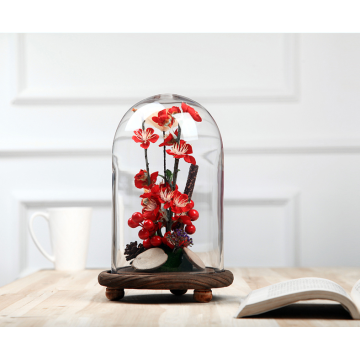 Customize High Quality Glass Display Dome